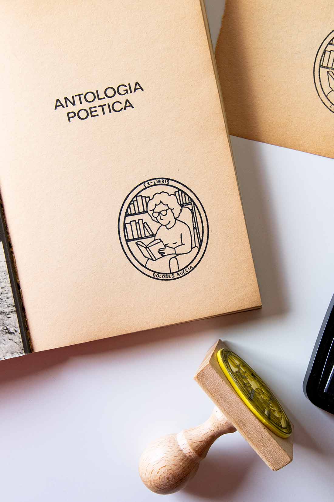 Portadilla de un libro estampada con una abuela leyendo en su sillón