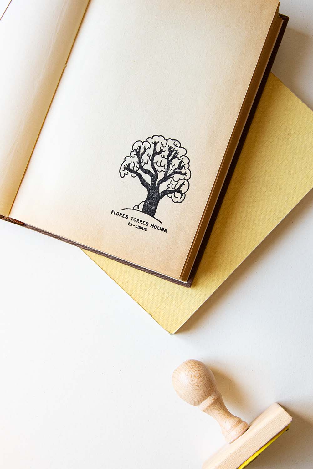 Portadilla de libro estampada con un árbol con el tronco negro y sello