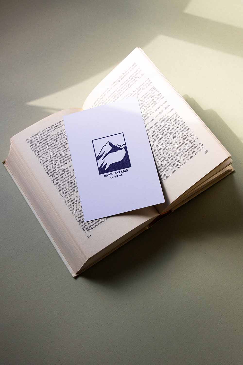 Portadilla de libro estampada con una montaña nevada