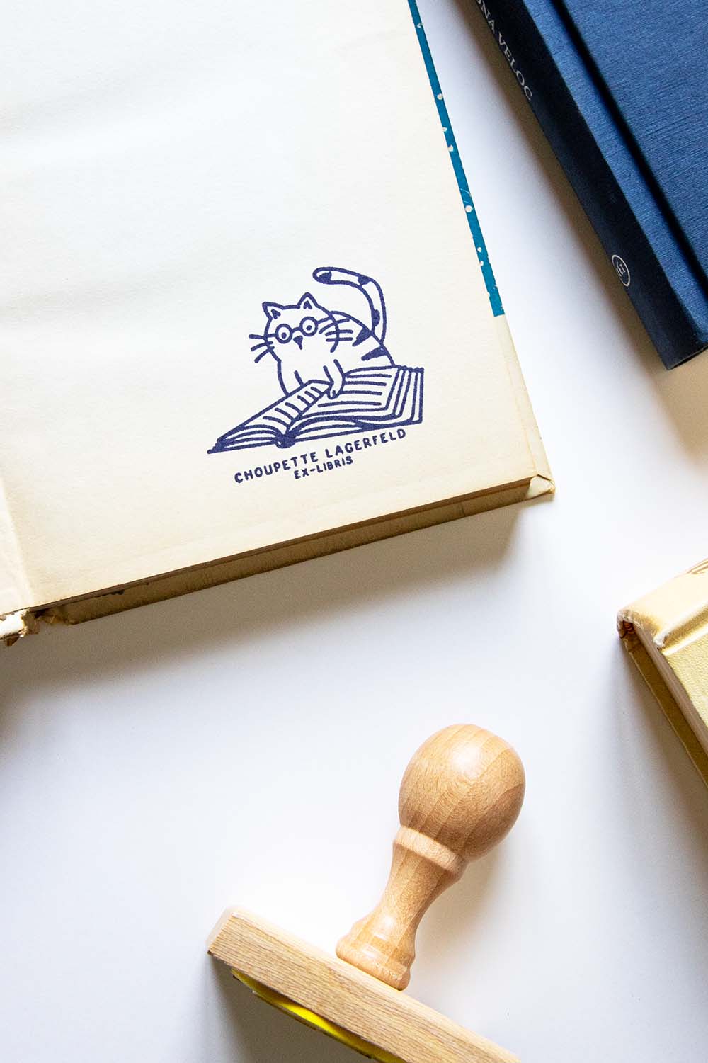 Portadilla de libro estampada con un gato leyendo con gafas y sello