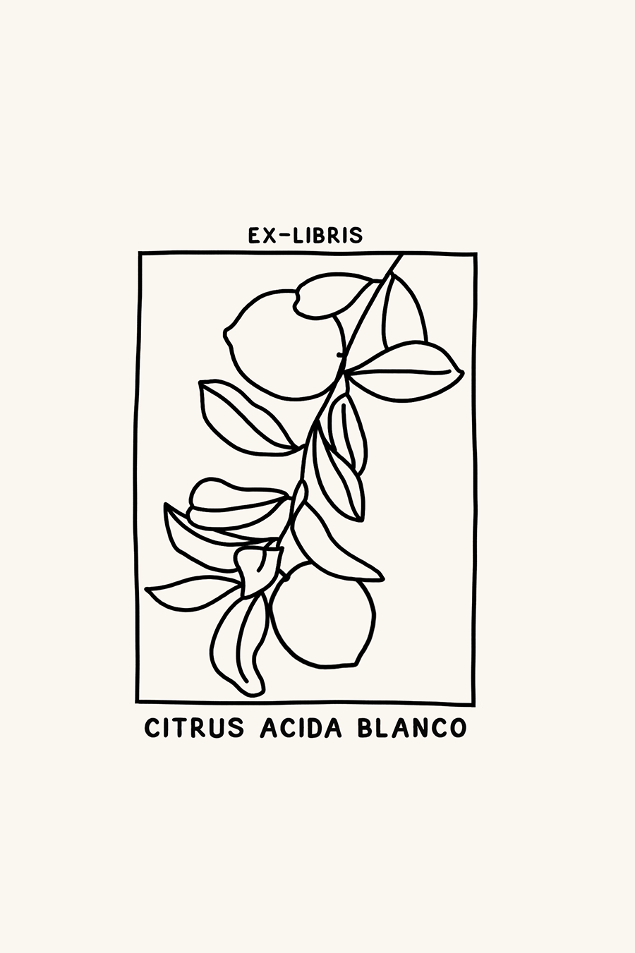 Dibujo de un limonero