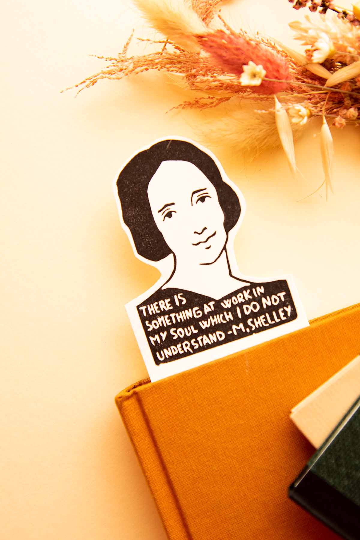 Marcapáginas Mary Shelley dentro de un libro