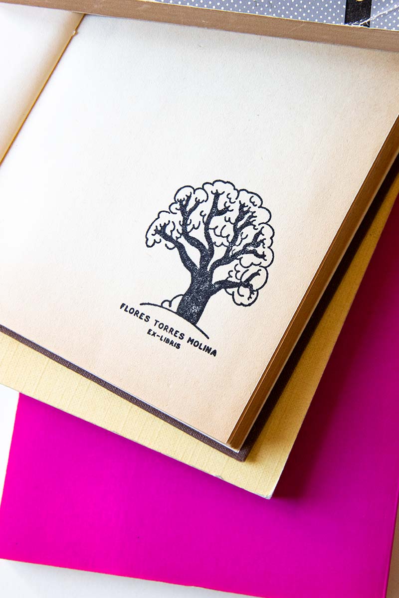Portadilla de libro estampada con un árbol con el tronco negro