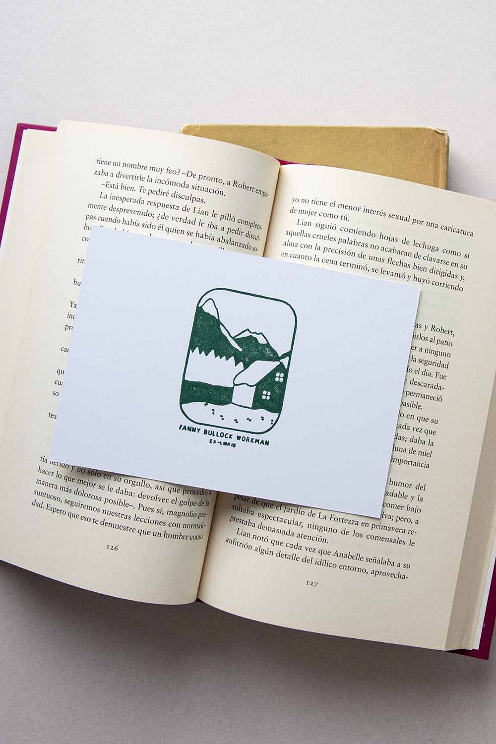 Portadilla de libro estampada con un paisaje con un chalet nevado y una montaña en el fondo