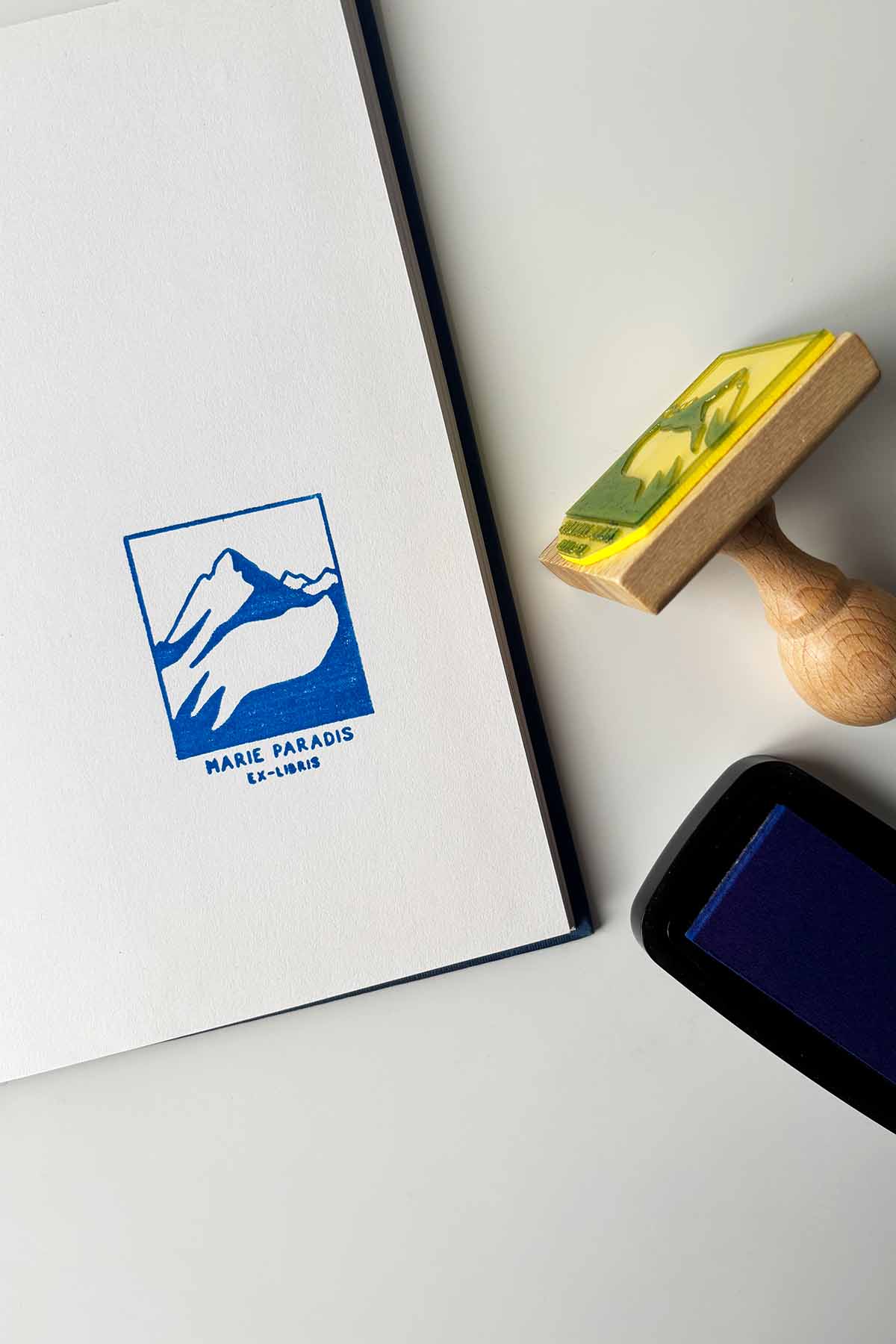 Portadilla de libro estampada con una montaña nevada