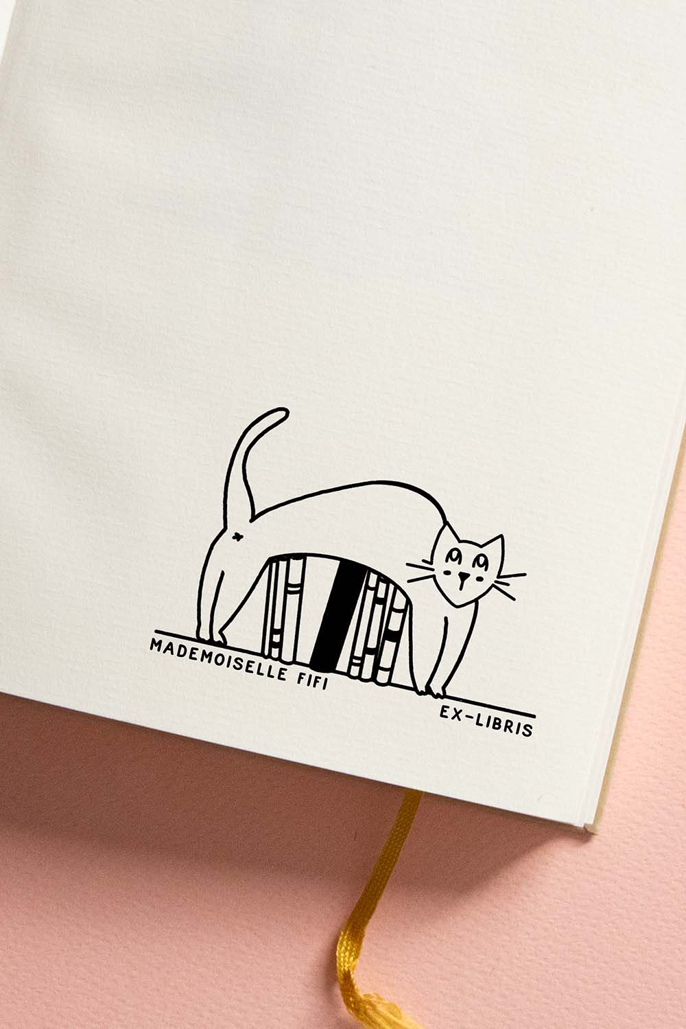 Portadilla de libro estampada con un gato encima de unos libros