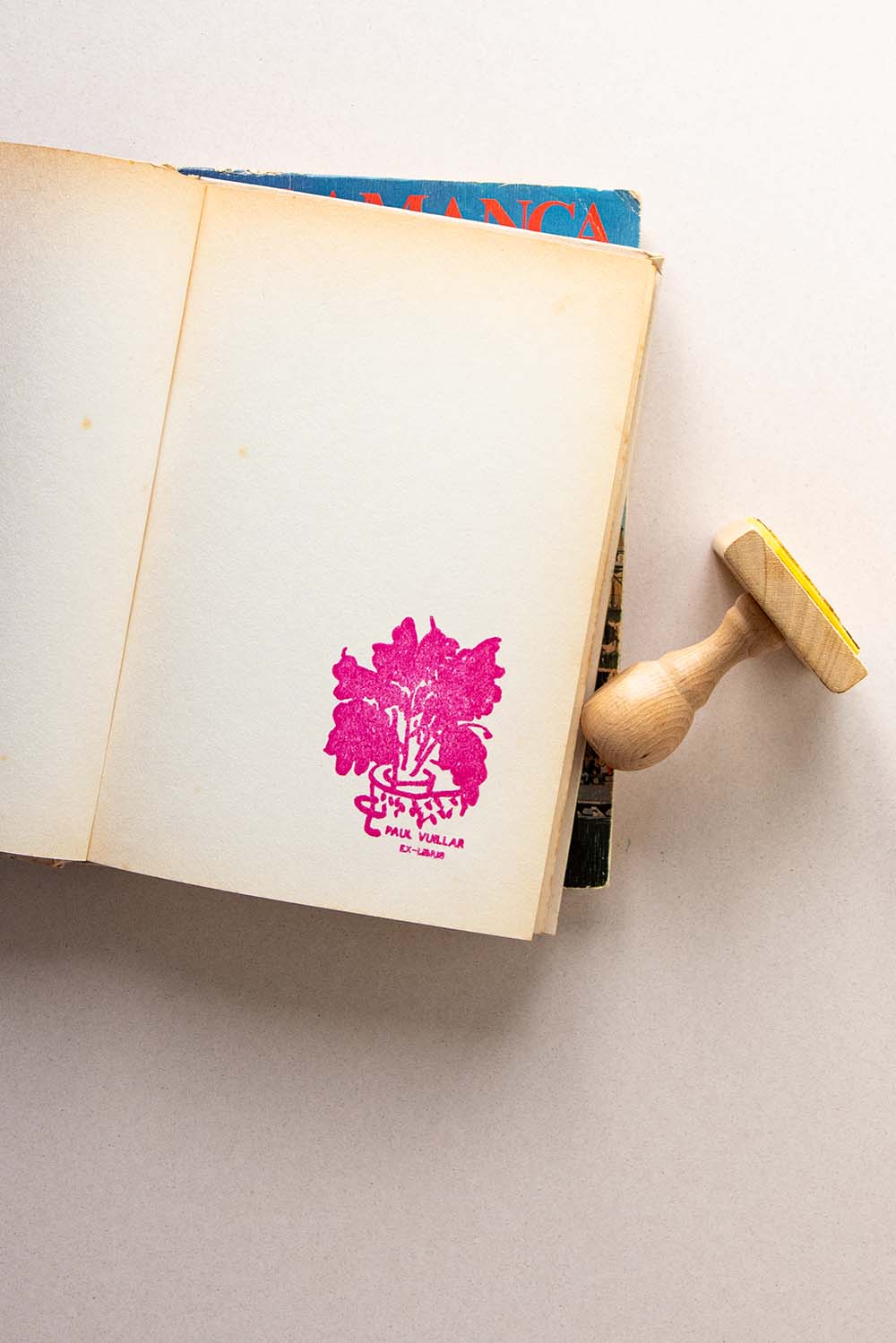 Portadilla de libro estampada con sello exlibris de una planta en una maceta con hojas anchas y sello